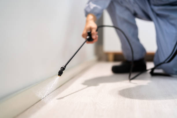 Rodent Entry Point Assessment in Fishersville