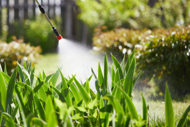 Tamper-Resistant Bait Stations for Rodents in Fishersville