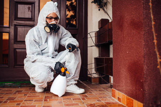 Attic and Crawl Space Rodent Treatment in Fishersville