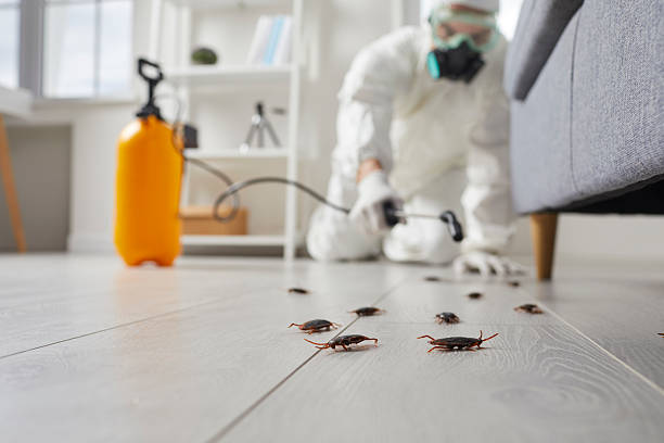 Commercial Rodent Management in Fishersville